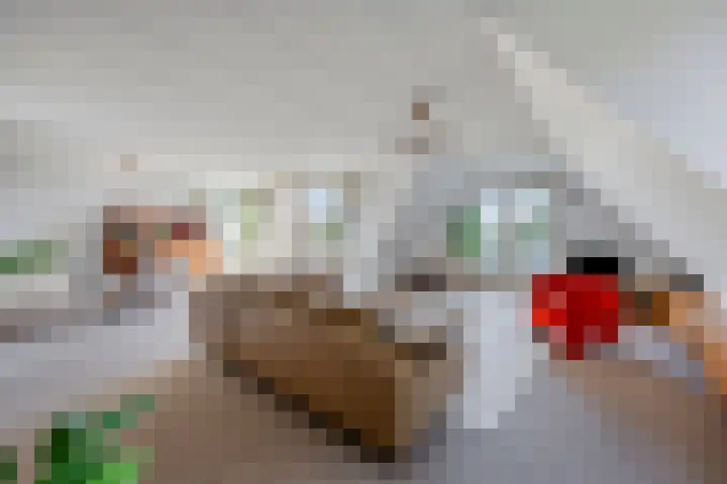 Generaal Foulkesweg 38 A Wageningen thumbnail 9
