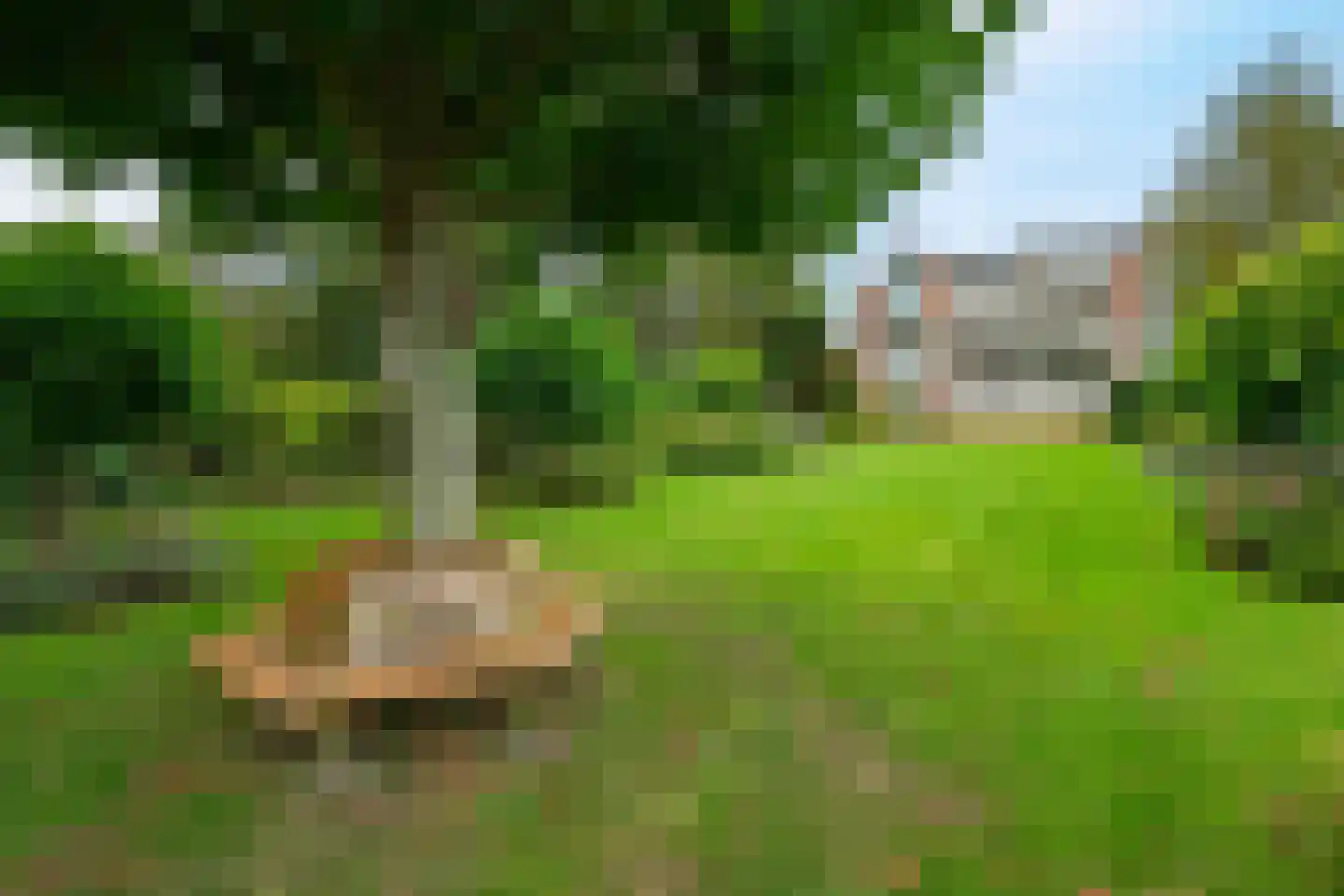 Generaal Foulkesweg 38 Wageningen thumbnail 27