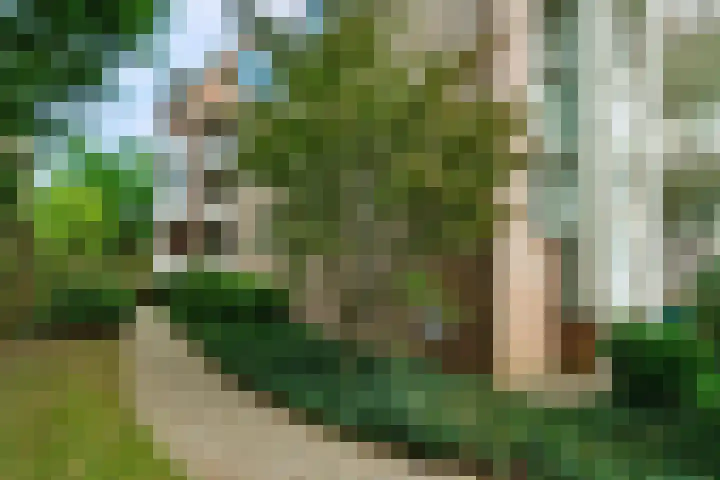 Generaal Foulkesweg 38 Wageningen thumbnail 28