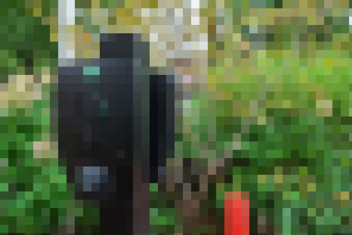 Generaal Foulkesweg 38 Wageningen thumbnail 32