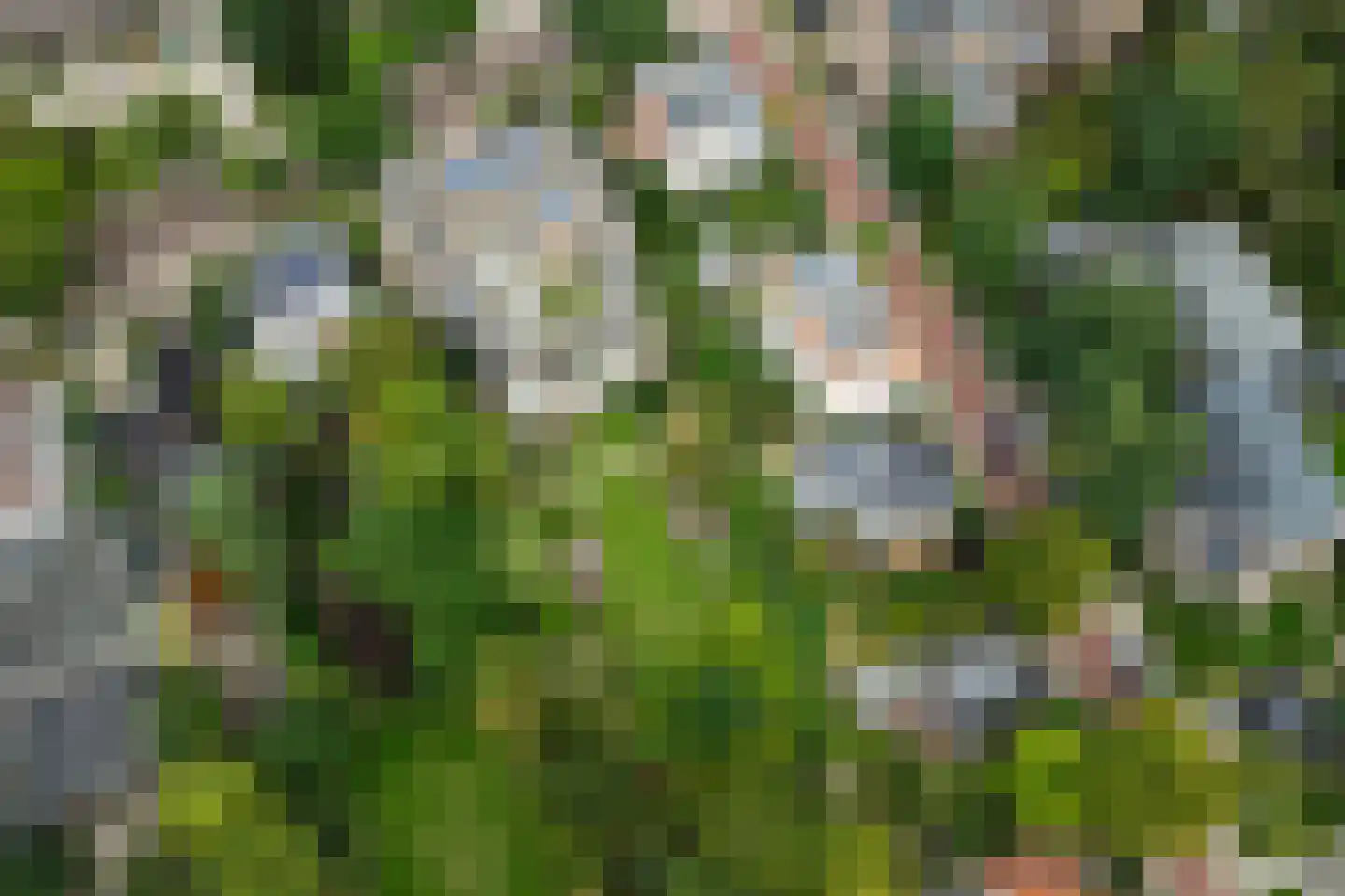 Generaal Foulkesweg 38 Wageningen thumbnail 34
