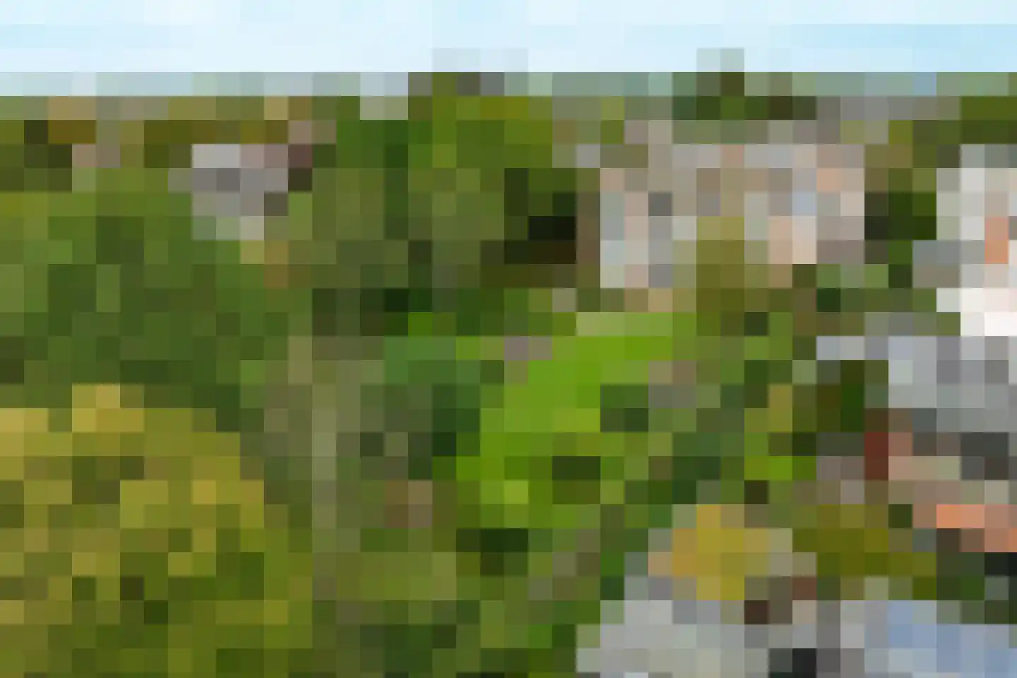 Generaal Foulkesweg 38 Wageningen thumbnail 39