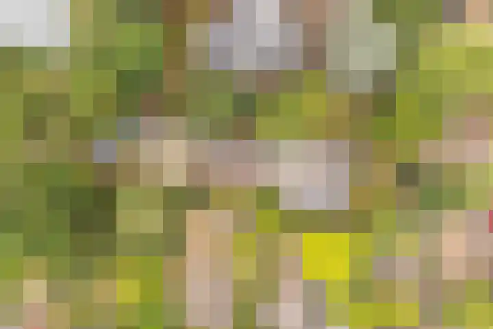 Generaal Foulkesweg 44 Wageningen thumbnail 29