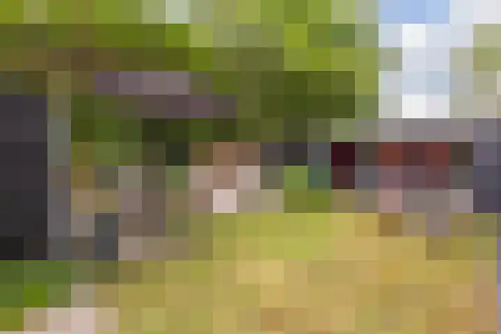 Generaal Foulkesweg 44 Wageningen thumbnail 37