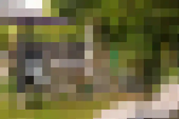 Generaal Foulkesweg 44 Wageningen thumbnail 38
