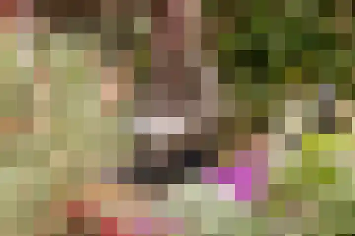 Generaal Foulkesweg 44 Wageningen thumbnail 39