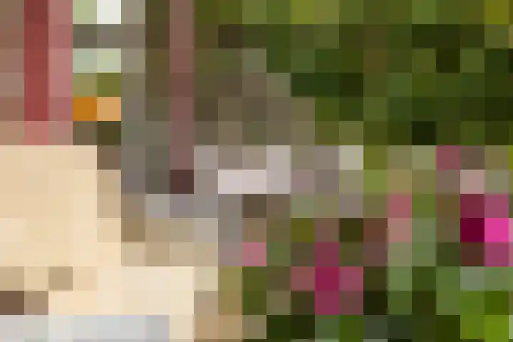 Generaal Foulkesweg 44 Wageningen thumbnail 40