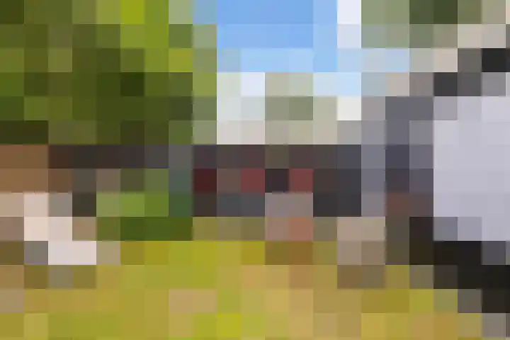 Generaal Foulkesweg 44 Wageningen thumbnail 41