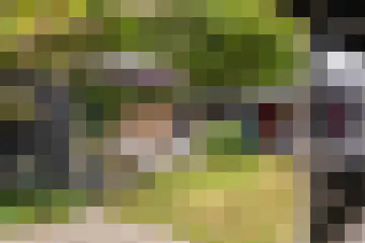 Generaal Foulkesweg 44 Wageningen thumbnail 42