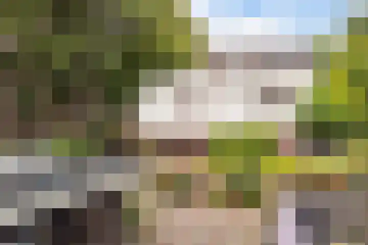 Generaal Foulkesweg 44 Wageningen thumbnail 44