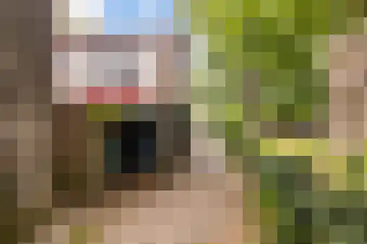 Generaal Foulkesweg 44 Wageningen thumbnail 47