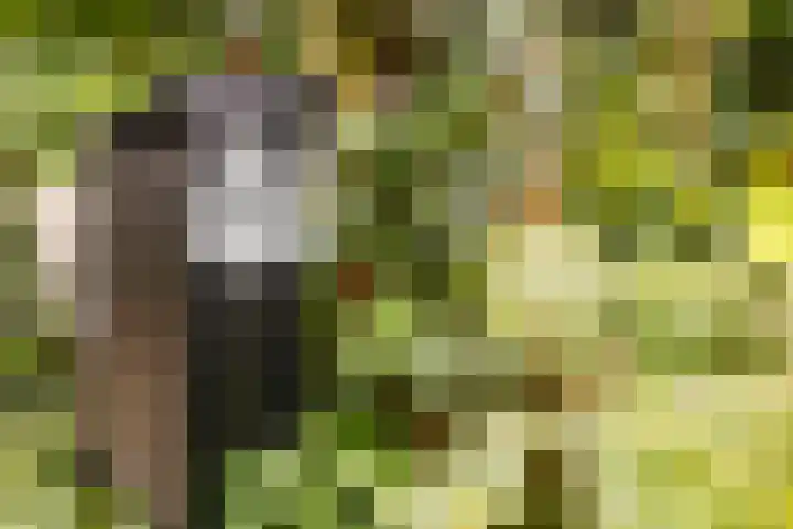 Generaal Foulkesweg 44 Wageningen thumbnail 48