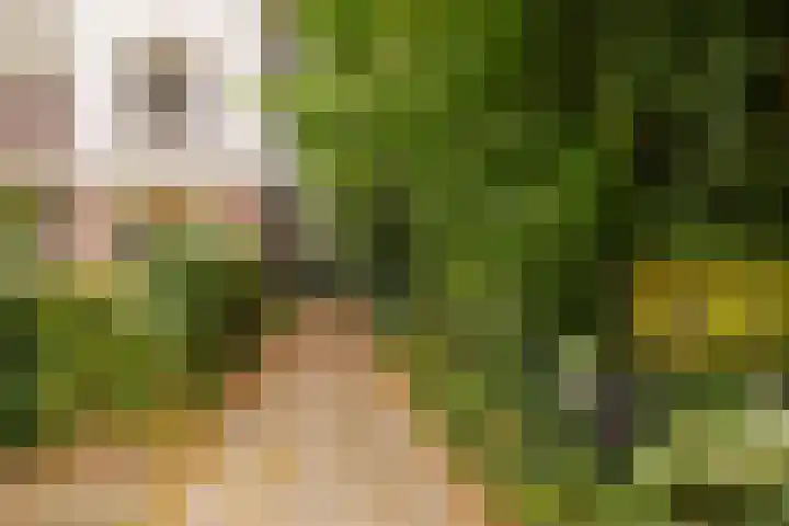 Generaal Foulkesweg 44 Wageningen thumbnail 49