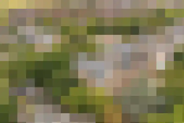 Generaal Foulkesweg 44 Wageningen thumbnail 50