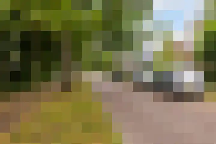 Generaal Foulkesweg 44 Wageningen thumbnail 52