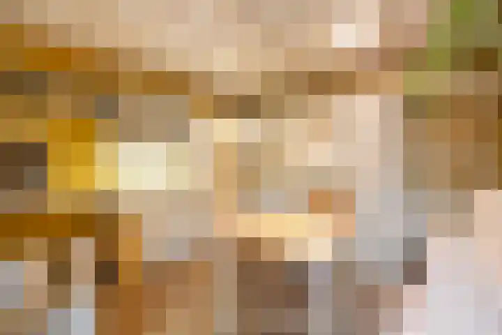Generaal Foulkesweg 44 Wageningen thumbnail 9