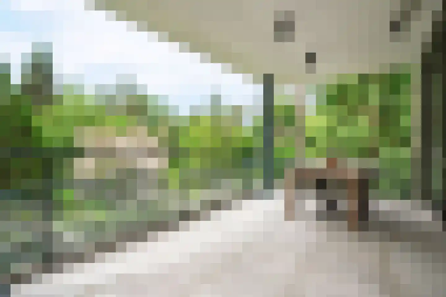 Generaal Foulkesweg 66 D Wageningen thumbnail 29