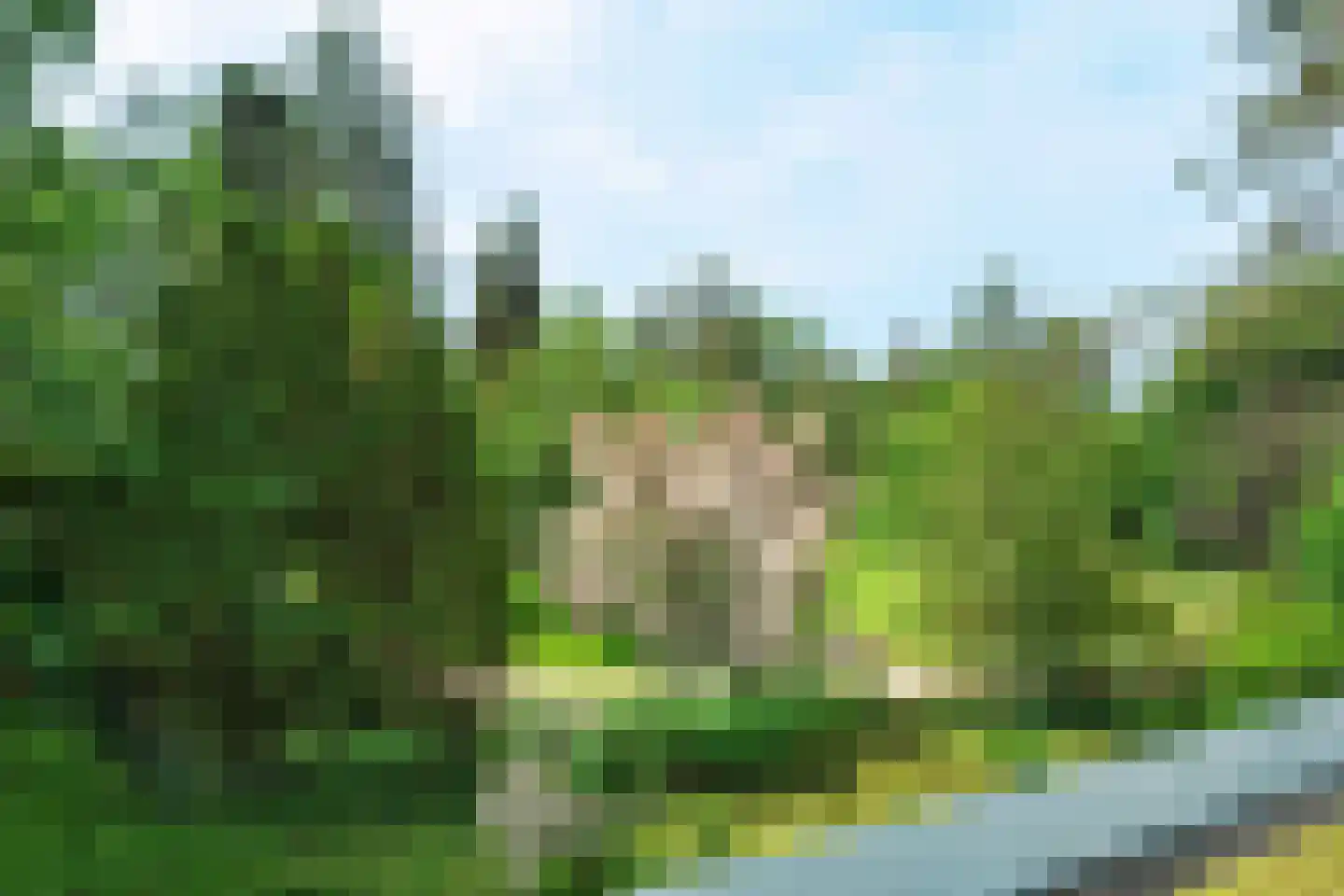 Generaal Foulkesweg 66 D Wageningen thumbnail 31