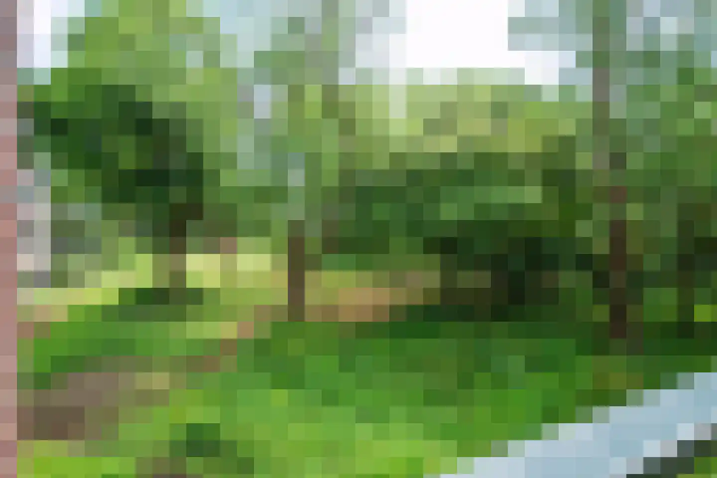 Generaal Foulkesweg 66 D Wageningen thumbnail 4