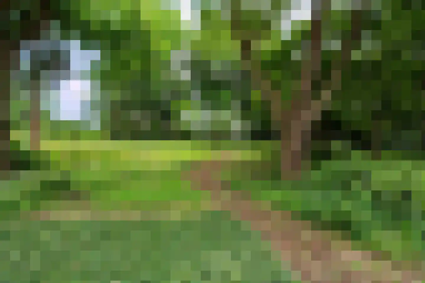 Generaal Foulkesweg 66 D Wageningen thumbnail 41
