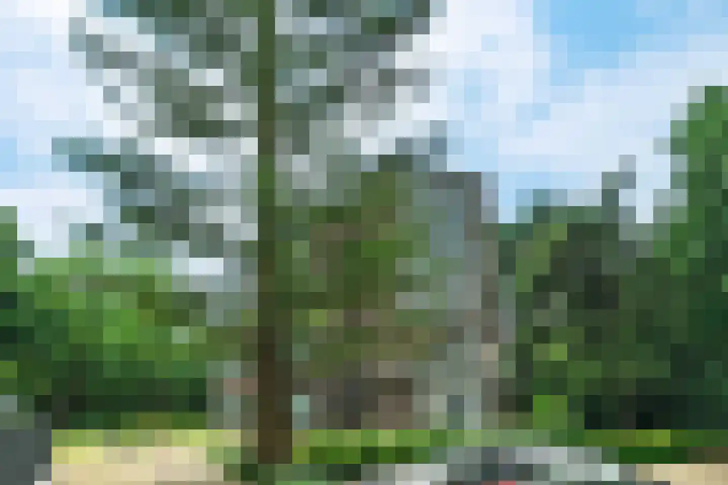 Generaal Foulkesweg 66 D Wageningen thumbnail 5