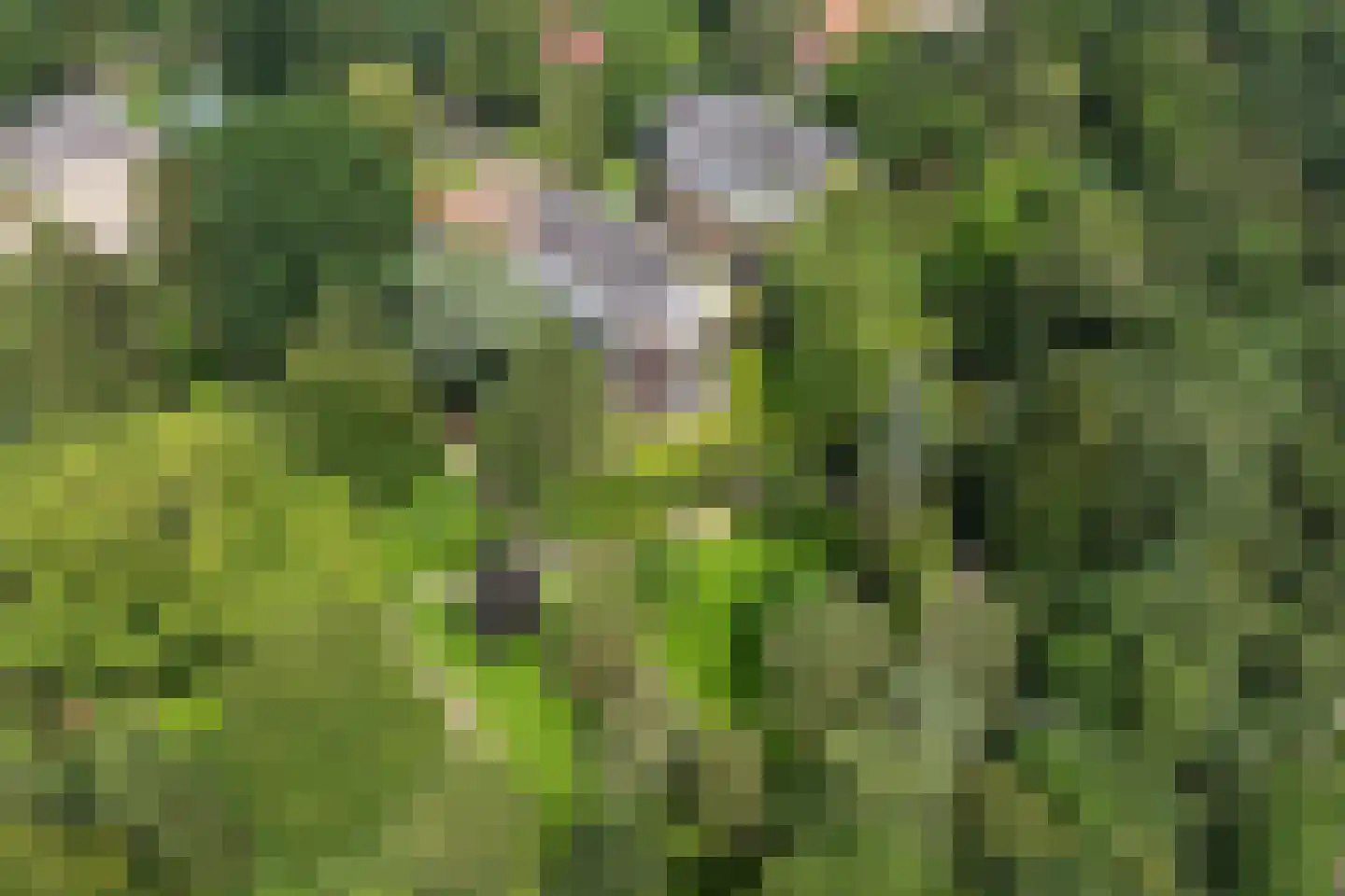 Generaal Foulkesweg 66 D Wageningen thumbnail 54
