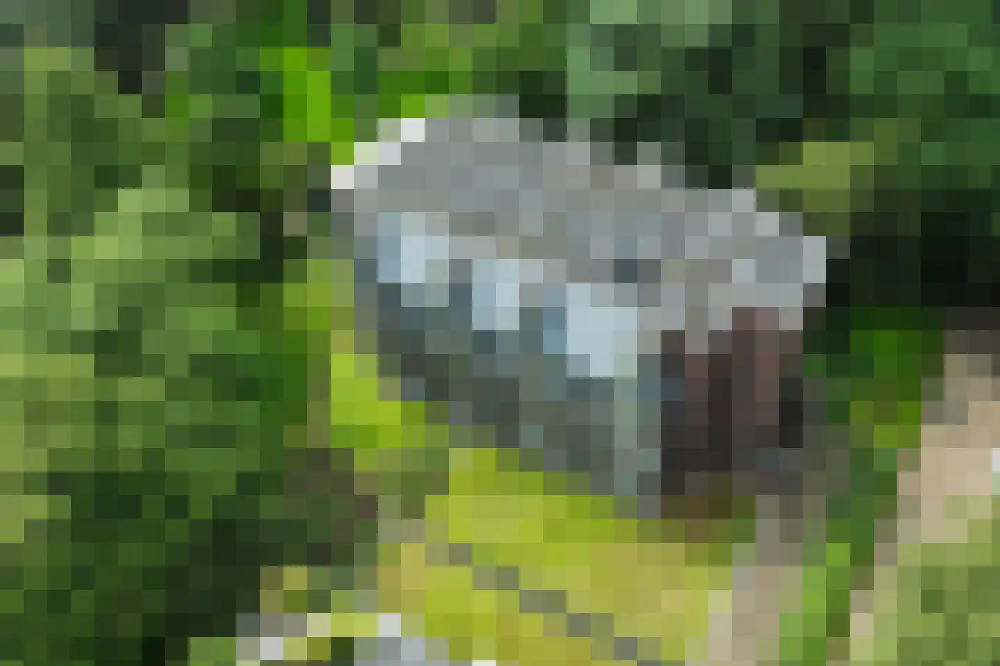 Generaal Foulkesweg 66 D Wageningen thumbnail 55