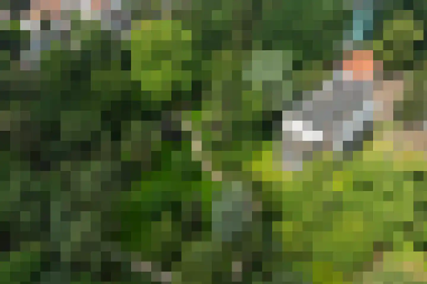 Generaal Foulkesweg 66 D Wageningen thumbnail 56