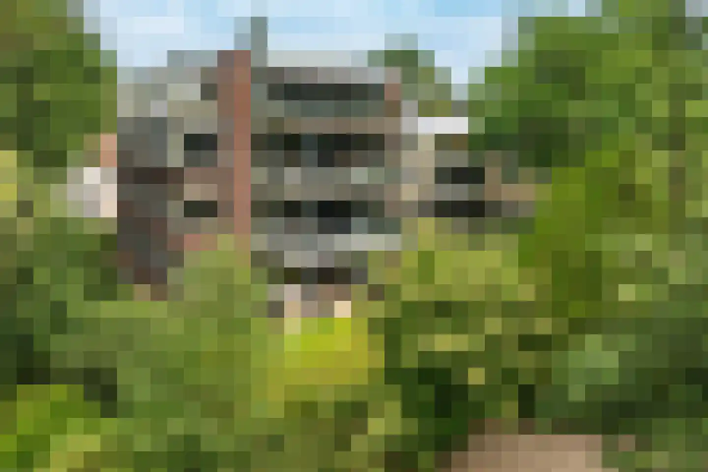 Generaal Foulkesweg 66 D Wageningen thumbnail 57