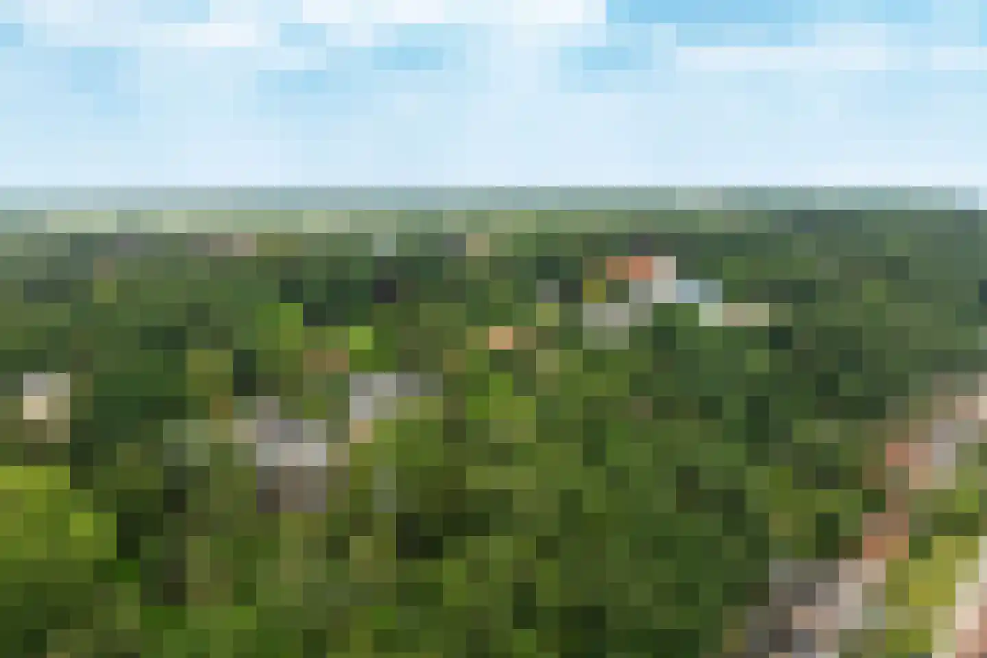 Generaal Foulkesweg 66 D Wageningen thumbnail 60
