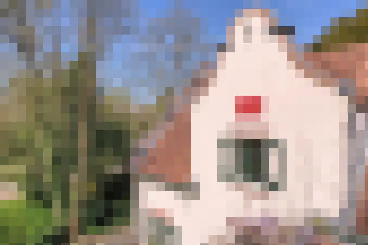 Generaal Foulkesweg 85 Wageningen thumbnail 30
