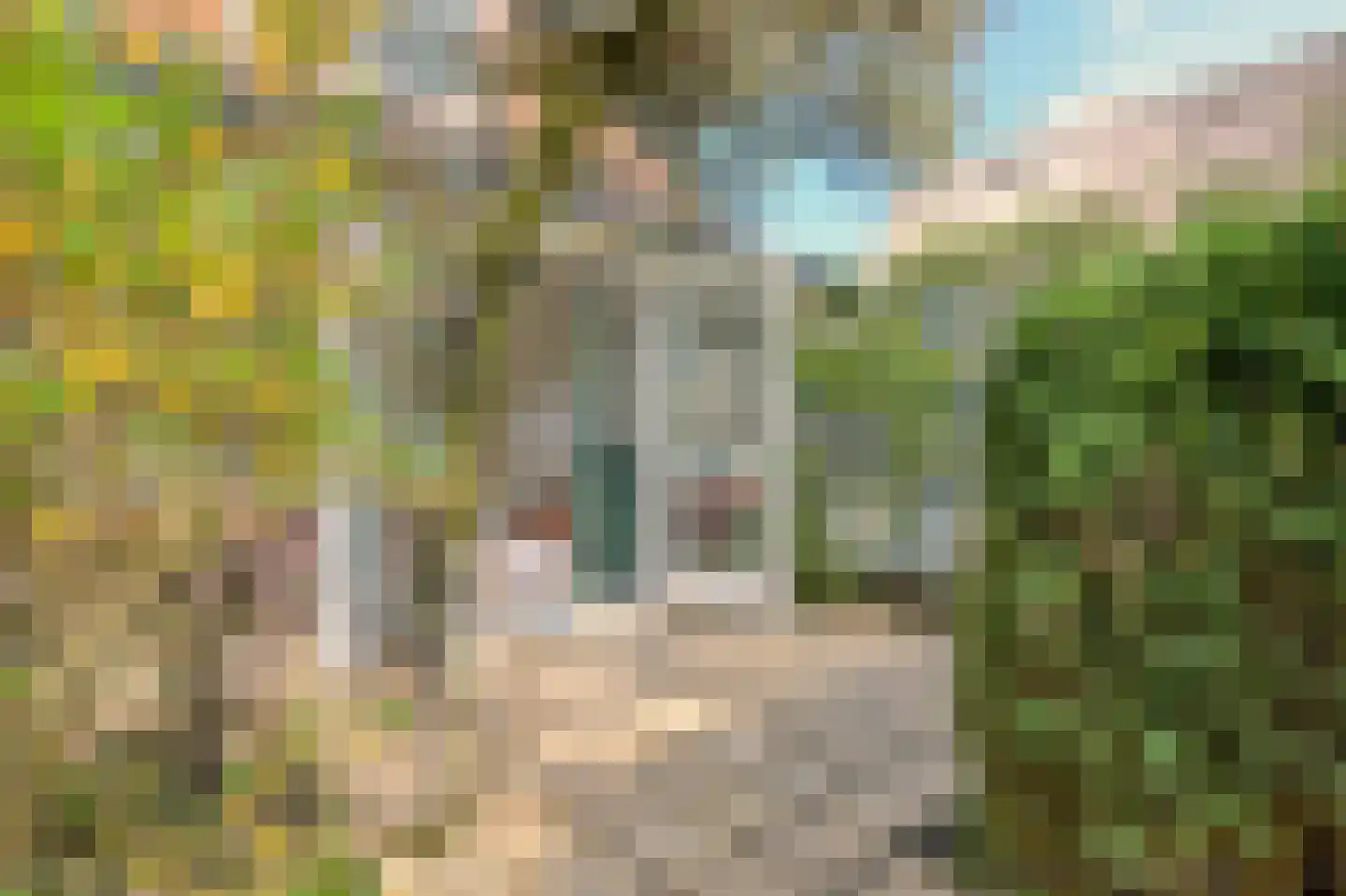 Generaal Foulkesweg 85 Wageningen thumbnail 33