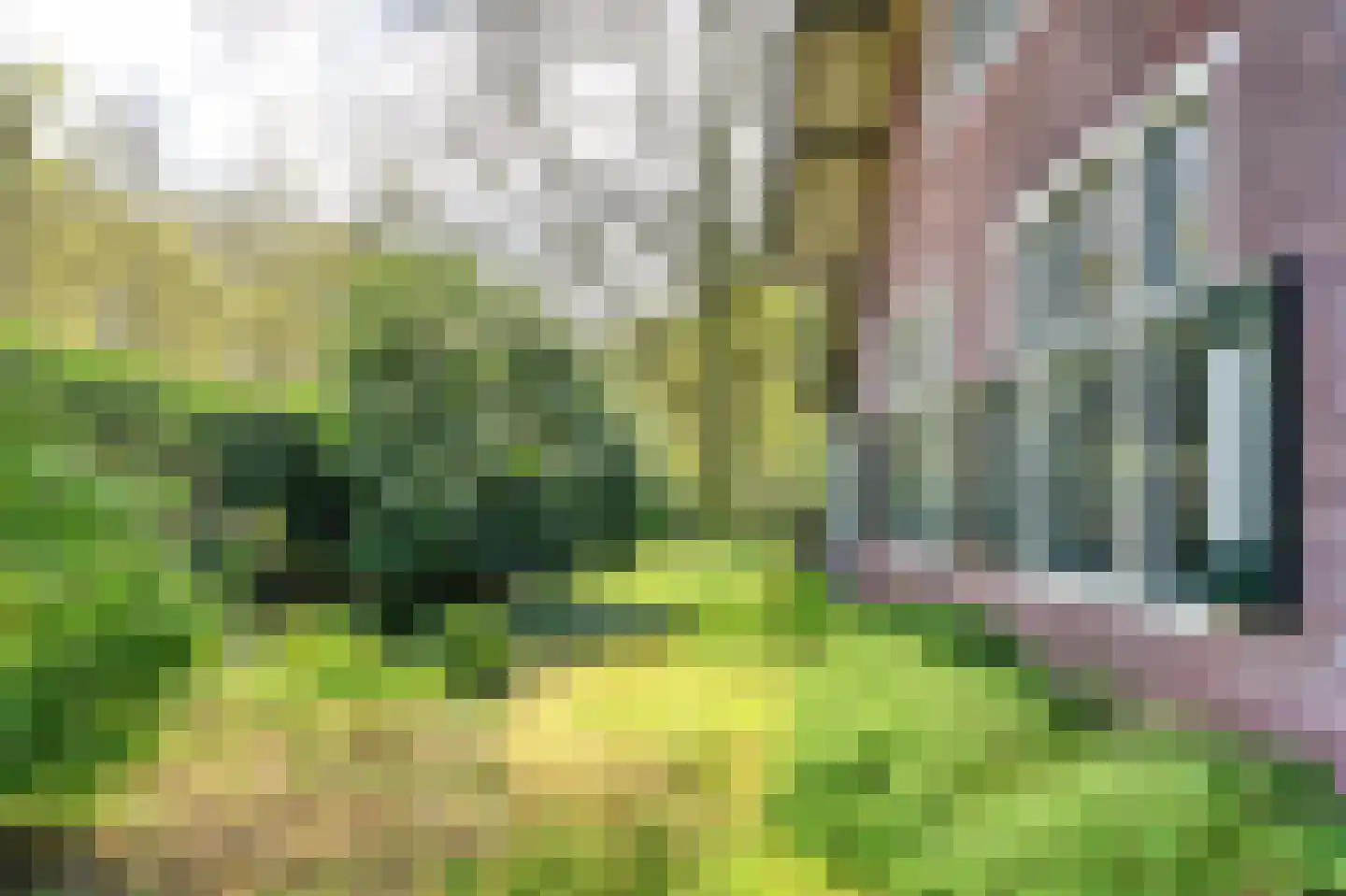 Generaal Foulkesweg 85 Wageningen thumbnail 38