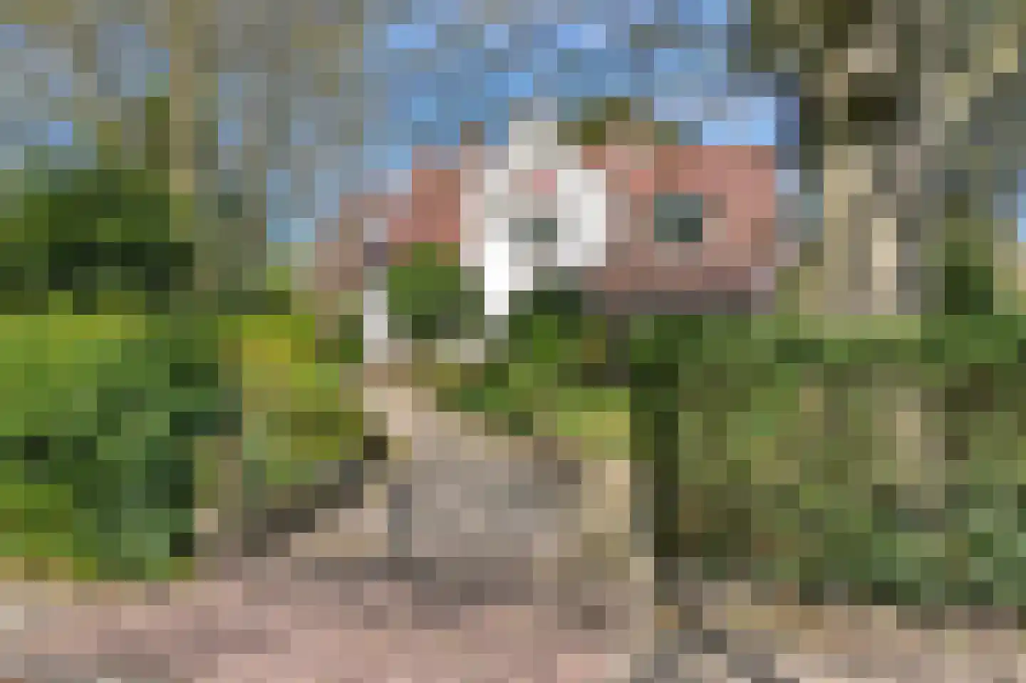 Generaal Foulkesweg 85 Wageningen thumbnail 41