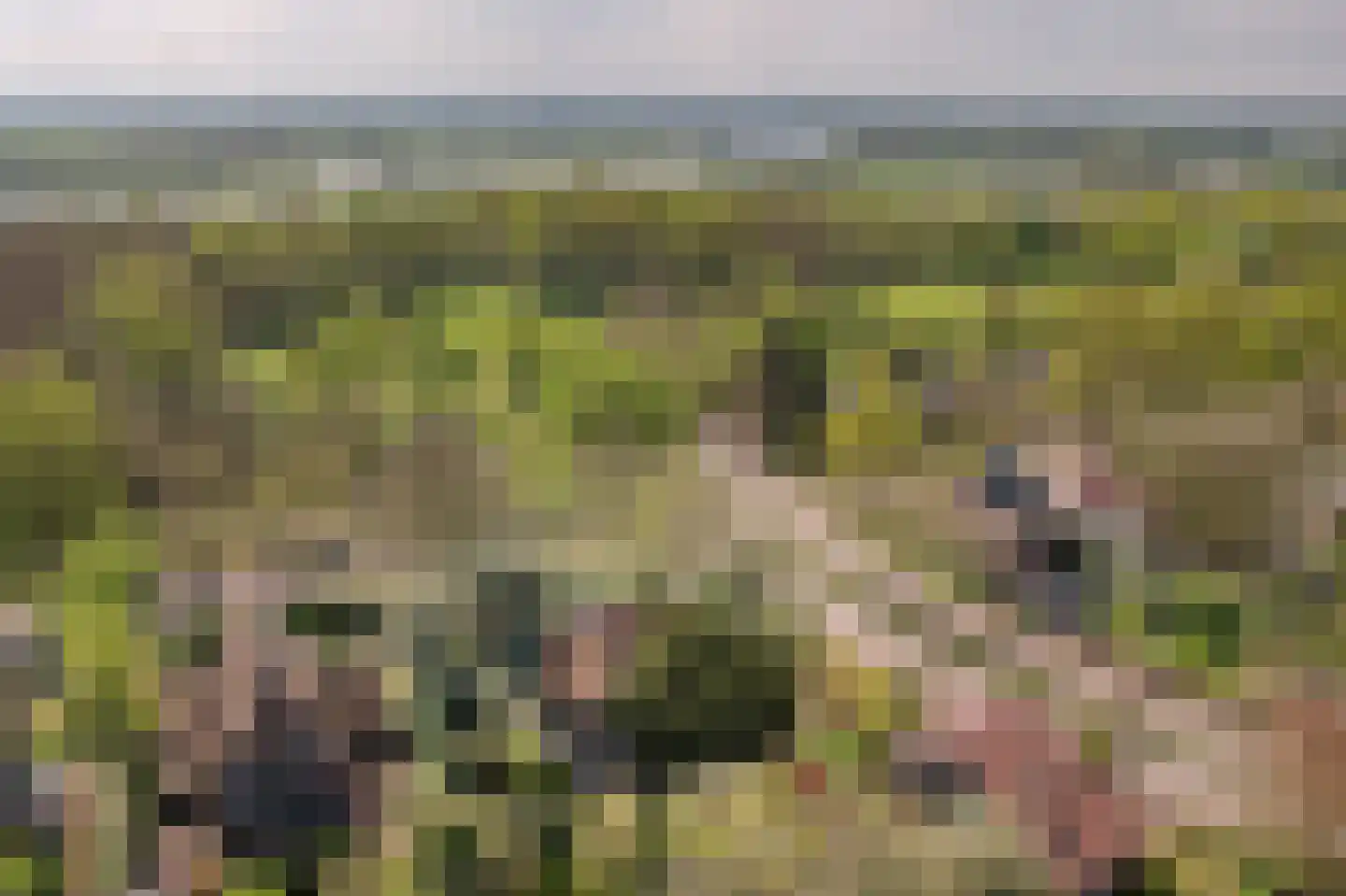 Generaal Foulkesweg 85 Wageningen thumbnail 43