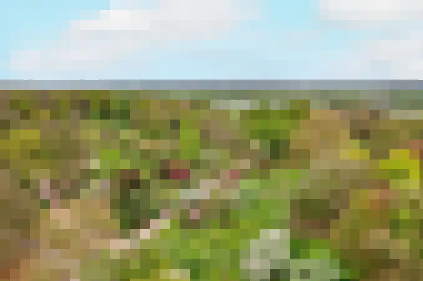 Generaal Foulkesweg 85 Wageningen thumbnail 45