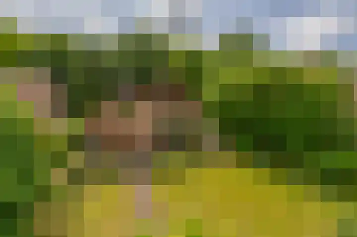 Generaal Foulkesweg 99 A Wageningen thumbnail 39
