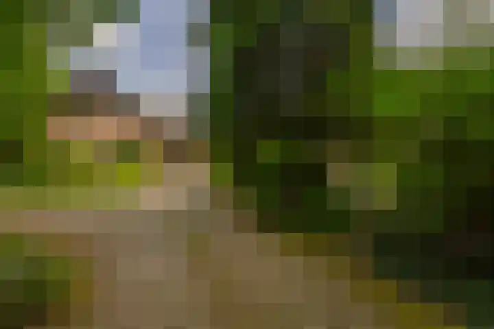 Generaal Foulkesweg 99 A Wageningen thumbnail 4