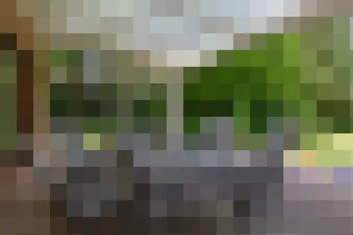 Generaal Foulkesweg 99 A Wageningen thumbnail 40