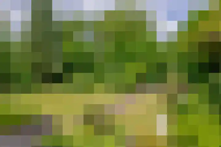 Generaal Foulkesweg 99 A Wageningen thumbnail 45