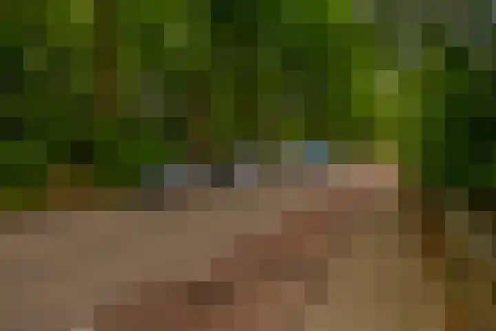Generaal Foulkesweg 99 A Wageningen thumbnail 47