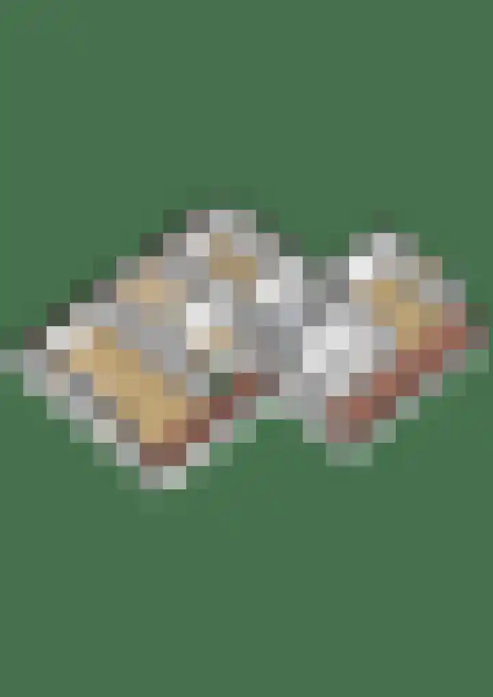 Generaal Foulkesweg 99 A Wageningen thumbnail 56