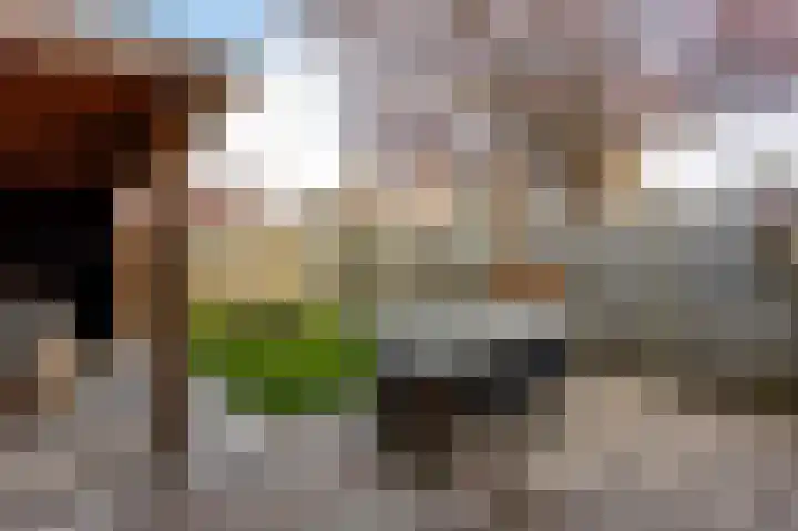 Generaal Gavinstraat 229 Groesbeek thumbnail 37