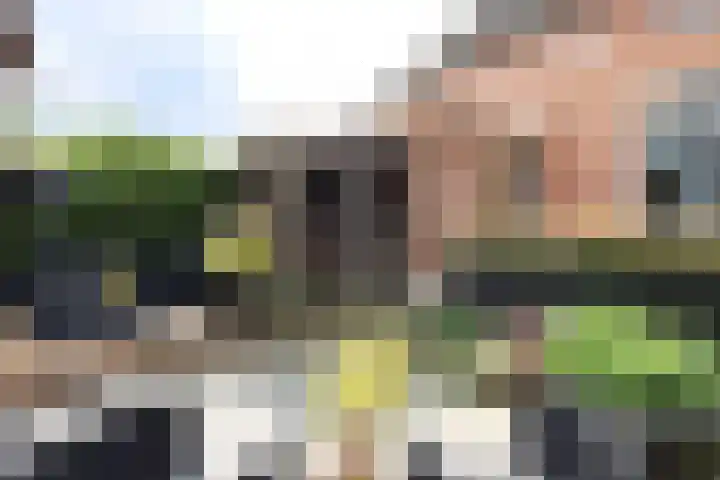 Generaal Gavinstraat 29 Groesbeek thumbnail 10