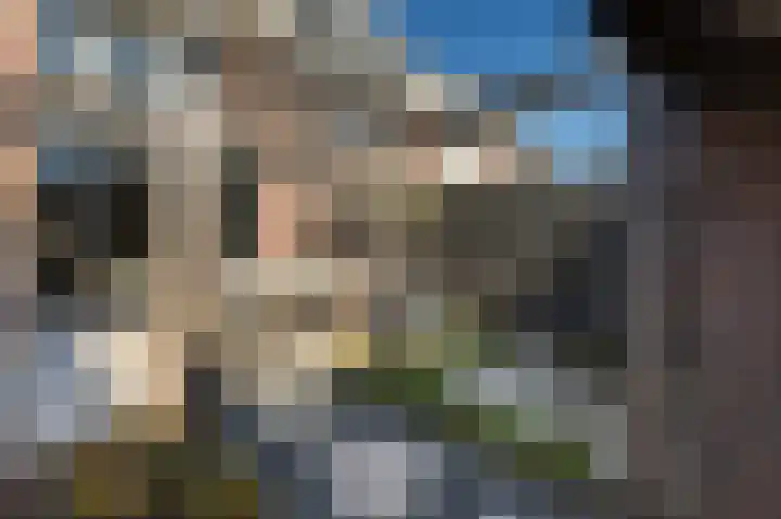 Generaal Gavinstraat 314 Groesbeek thumbnail 42