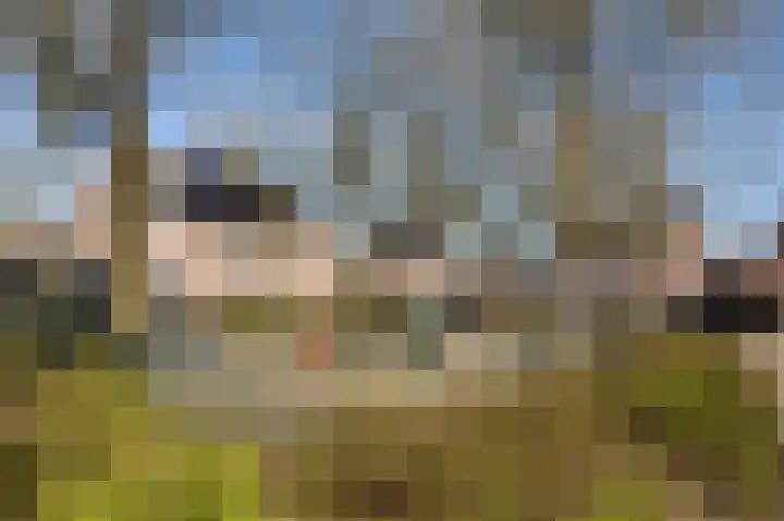 Generaal Gavinstraat 314 Groesbeek thumbnail 45