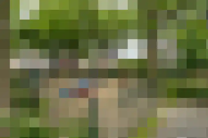 Generaal Gavinstraat 330 Groesbeek thumbnail 42