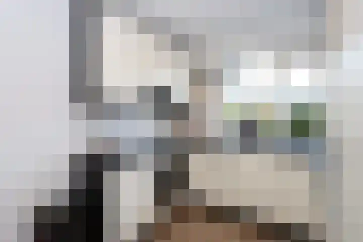 Generaal Gavinstraat 420 Groesbeek thumbnail 13