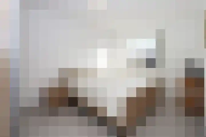 Generaal Gavinstraat 420 Groesbeek thumbnail 19