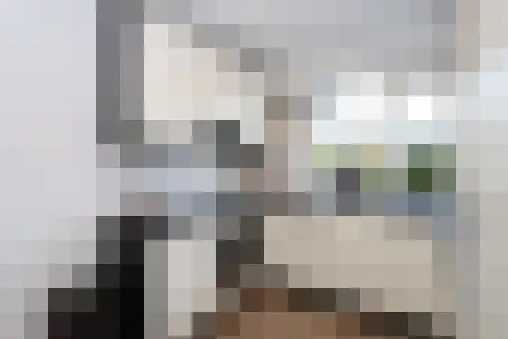 Generaal Gavinstraat 420 Groesbeek thumbnail 4